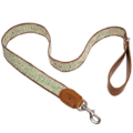 Alecoo Hundehalsband Aponi green