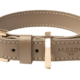 Alecoo Hundehalsband Classy sand - gold