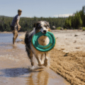 Ruffwear Hydro Plane™ Frisbee Wurfspielzeug - Aurora Teal, 23 cm