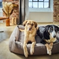 Laboni Hundebett Buffalo