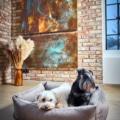 Laboni Hundebett Buffalo