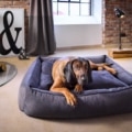 Laboni Hundebett Buffalo