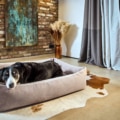 Laboni Hundebett Buffalo