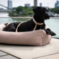 Laboni Hundebett Buffalo