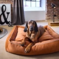 Laboni Hundebett Buffalo