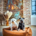 Laboni Hundebett Buffalo