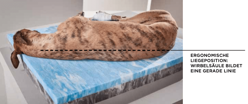 optimale Liegeposition